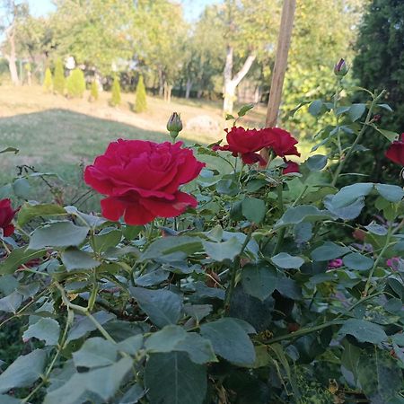Guest House Bee Visoko Exterior foto