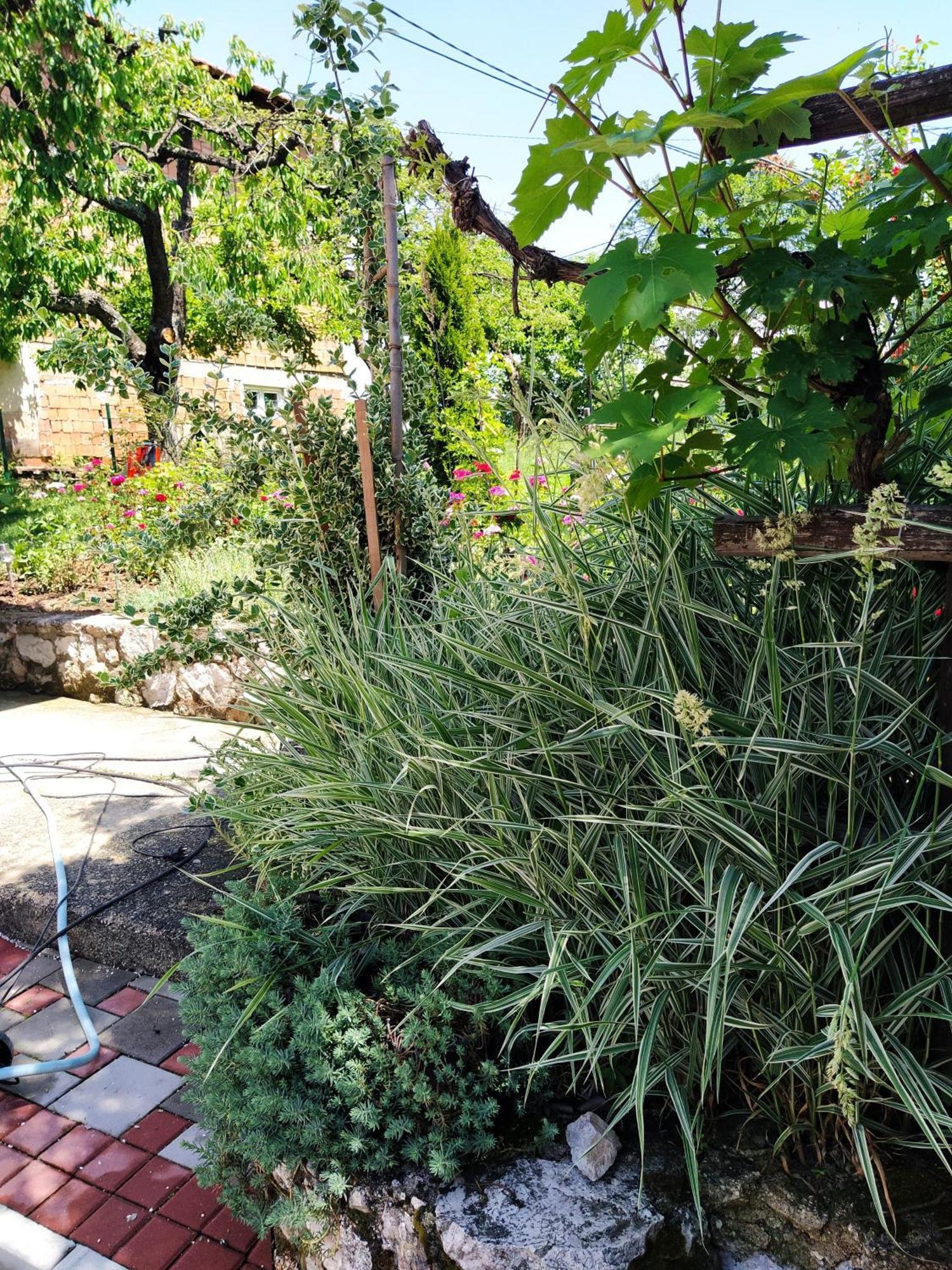 Guest House Bee Visoko Exterior foto