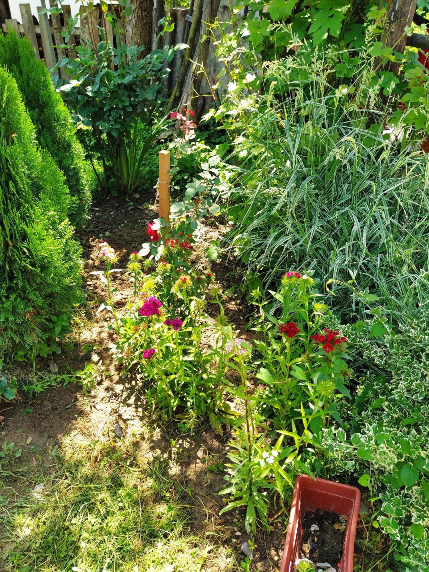 Guest House Bee Visoko Exterior foto
