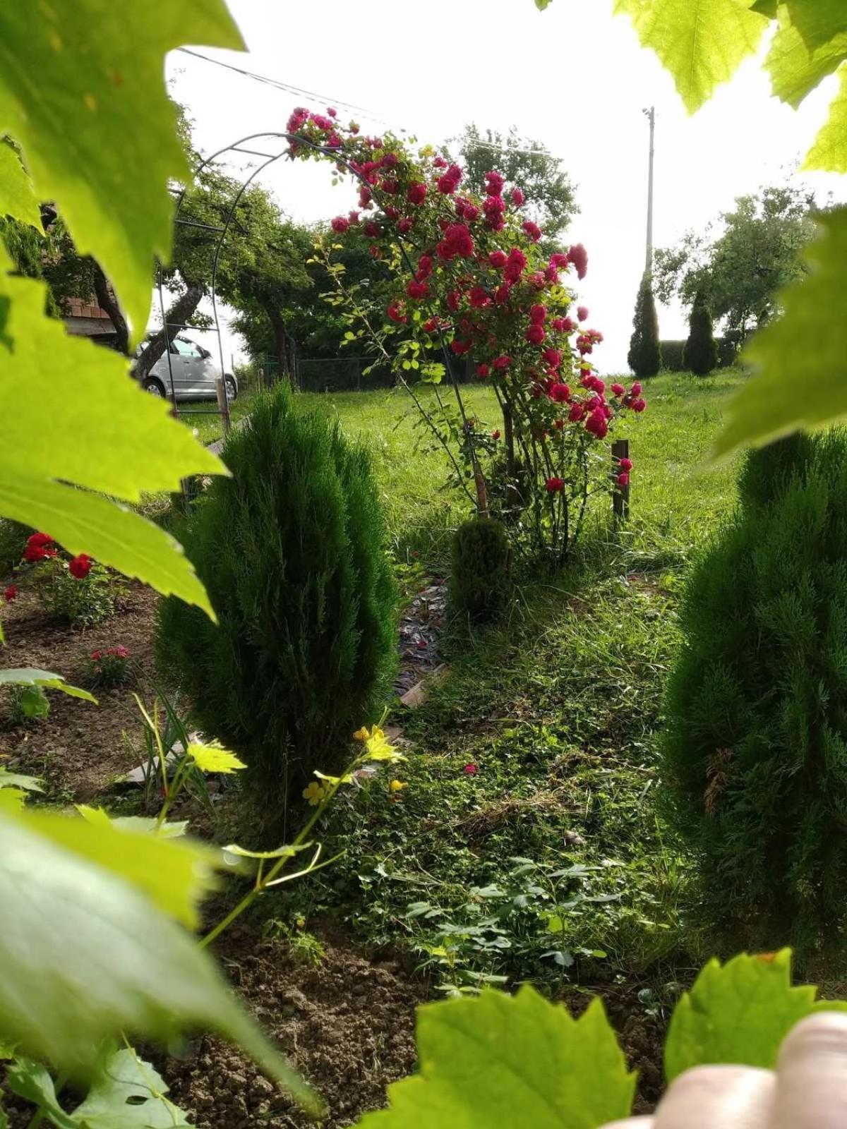 Guest House Bee Visoko Exterior foto