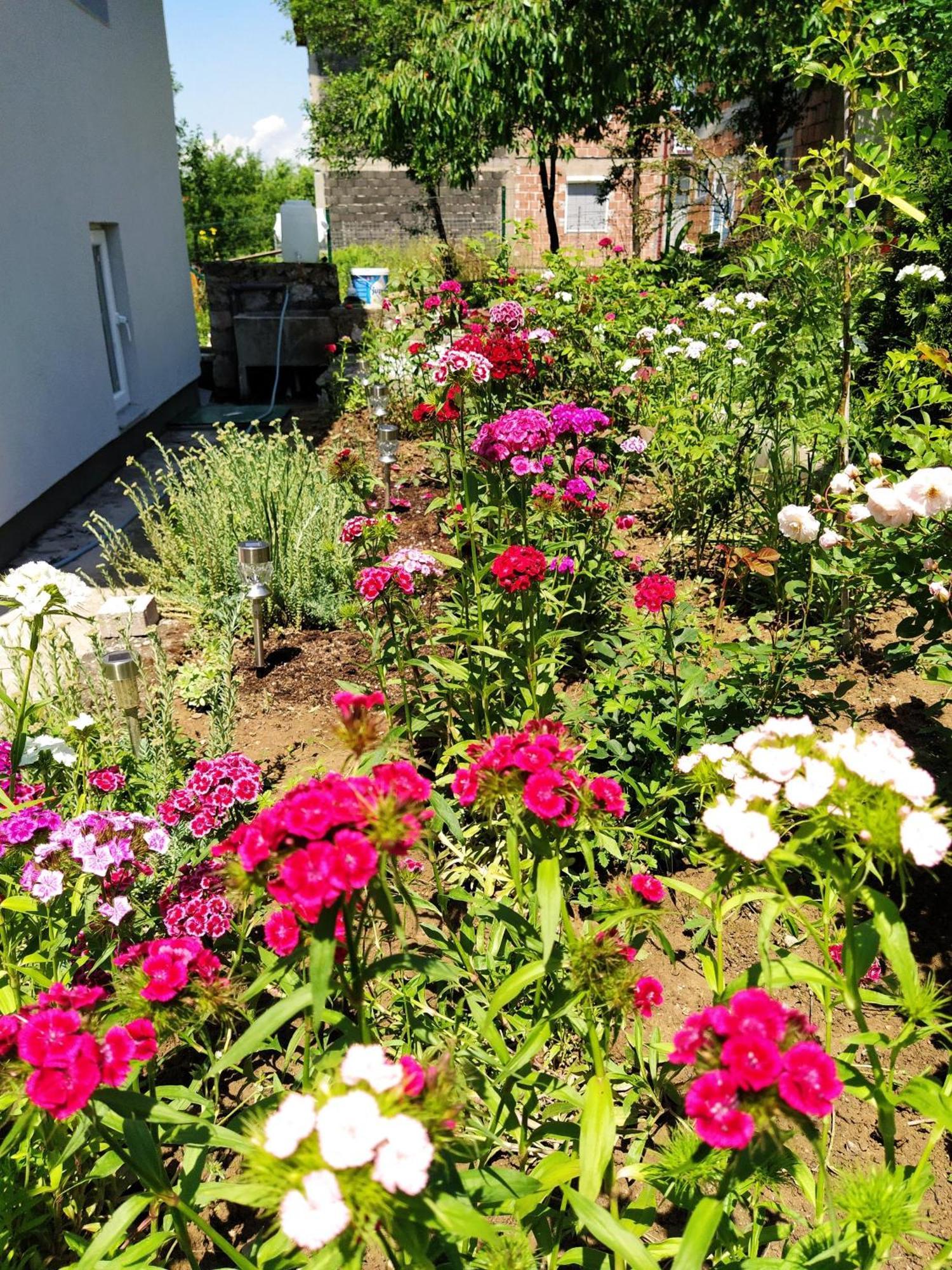 Guest House Bee Visoko Exterior foto